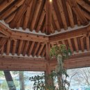 대신공원 숲길 | 오대산 국립공원 카페 난다나 찻집 후기｜전나무숲길 산책 후 쉬어가기 좋은 곳