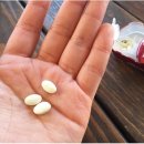 민트약국 이미지