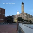 평택대학교 상담대학원 | 평택대학교 벚꽃축제 , 실시간벚꽃현황 및 불꽃놀이 사진명소 공유