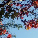 소명 행정사사무소 이미지