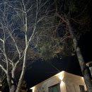 그린나무영월 이미지