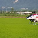 춘향골농업협동조합 이미지