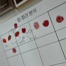 광주 퍼스널컬러 진단 내돈내산 추천 [유피피컬러스튜디오] 내가 쿨톤이라니 ..!