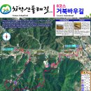 치악산둘레길 8코스 거북바우길 이미지
