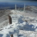 노고단-15 이미지