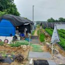 명대농장 이미지