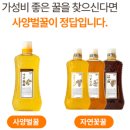 꿀사랑 | 🍯 설탕 대신 꿀 찾는다면? 요리용으로 딱인 사랑벌꿀 후기 💛