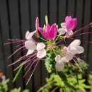 포천일동펜션 이미지