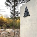홍천썬호텔&펜션 | 2025년 신상 강원도 홍천 시크릿 풀빌라 고급 독채 풀빌라 C-2 솔직 후기 (가족 커플 펜션 온수풀 수영장)