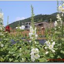 대방참빛할인마트 이미지