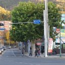 보름달에 꽃비 내리는 정다운 골목 스토리 이미지