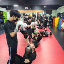 투혼복싱 이미지