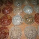 예사랑유치원 이미지