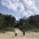 나리와꽃창포 | 열네번째 캠핑(feat. 나리와꽃창포)