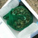 서천생태공원 이미지