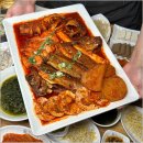 황금코다리 이미지