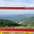 하이원트래블 이미지