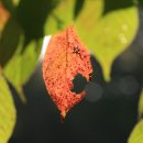 달빛마을 이미지