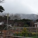 오서산억새풀마을 영농조합법인 이미지