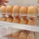 유프레시 이미지