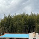 마현민박 이미지