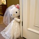 단아광고디자인 | w12. 청담 예물샵 끝판왕, 오르시아 청담 웨딩밴드 투어 + 웨딩밴드 셀렉 후기 ☆*｡