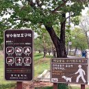 세븐일레븐 남양주송촌리점 이미지