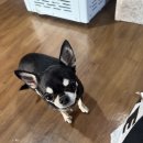 소양참숯찜질방 | 소양참숯찜질방(+삽겹살, 매점, 고구마, 꿀팁)