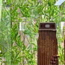 가야금(1:1수업 ) 이미지