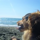 말랑말랑 이미지