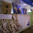 진천군청 이미지