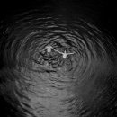 드다니엘(de Daniel) 이미지