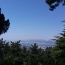 괴정농장 이미지