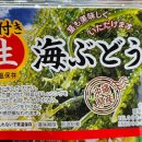 바다랑해초랑 | 오키나와 특산품 해초류 바다포도 후기