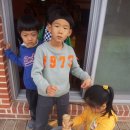 푸른별유치원 이미지