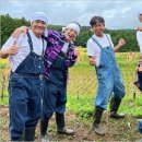 유일타이치 이미지