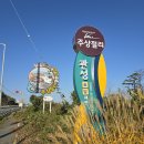 관성솔밭해변 이미지