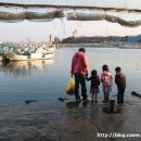 진부령 목장 이미지