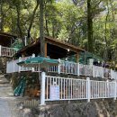 백양산막걸리 이미지