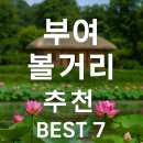 능산리 고분군 포토존 이미지