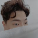 바니앤피그눈썹