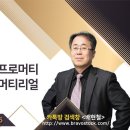 개미아빠 배현철 -8월19일 대응전략 ㅡ # 트럼프 품목관세 이미지