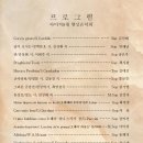 아미치 9월 향상 음악회 2023.9.16(토)오후 4시/하츠뮤직홀 이미지