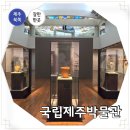 세계오지민속박물관(휴관) | 제주 실내 비오는날 고민 없이 가볼만한곳 국립제주박물관