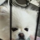 그린종묘농약사 이미지