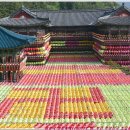 초읍동-03 이미지