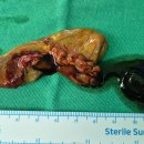 서정일내과의원 이미지