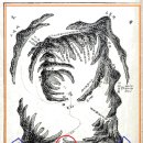 『영우원보토소등록(永祐園補土所謄錄)』의 도설(圖設)에 나오는 안락현(安樂峴, 안락고개)의 위치 이미지