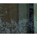 앞뜰 - 미추홀구 인하로105번길 28 | 앞뜰