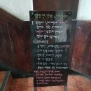 힐링 펫 카페 이미지